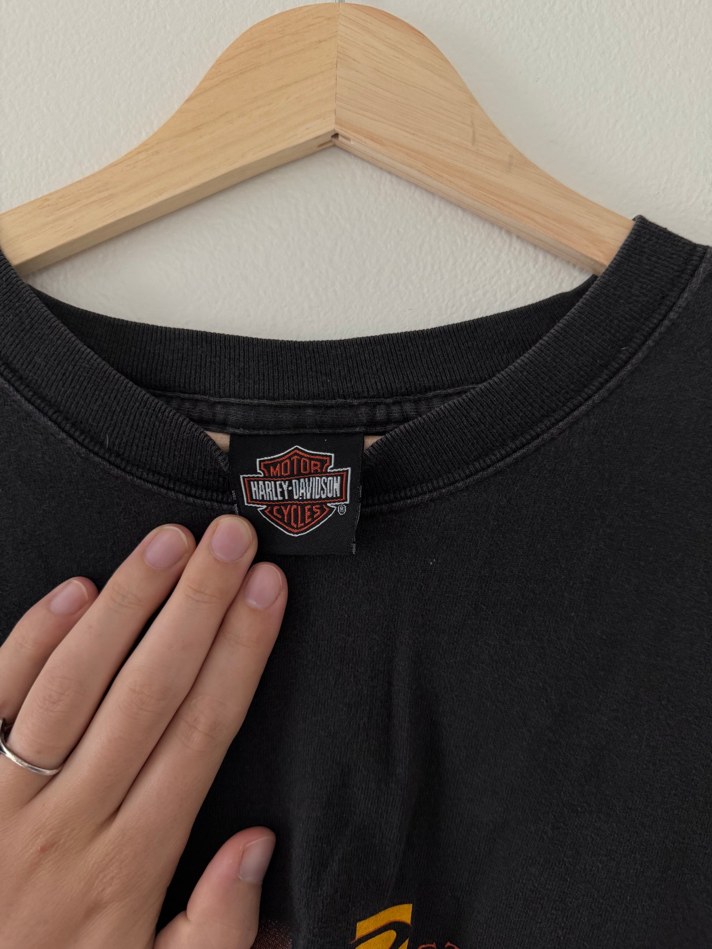 Harley Davidson Long Sleeve (XL)