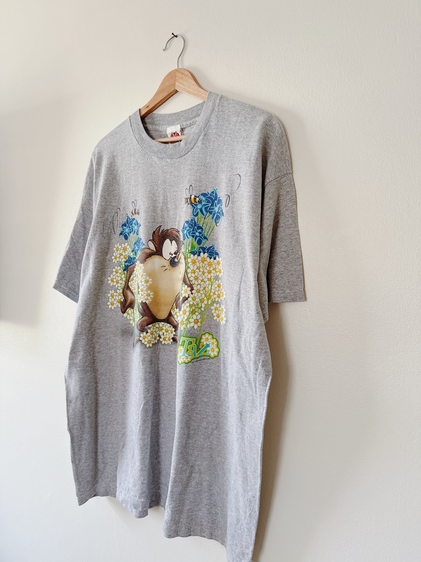 1998 Taz Tee (XXL)