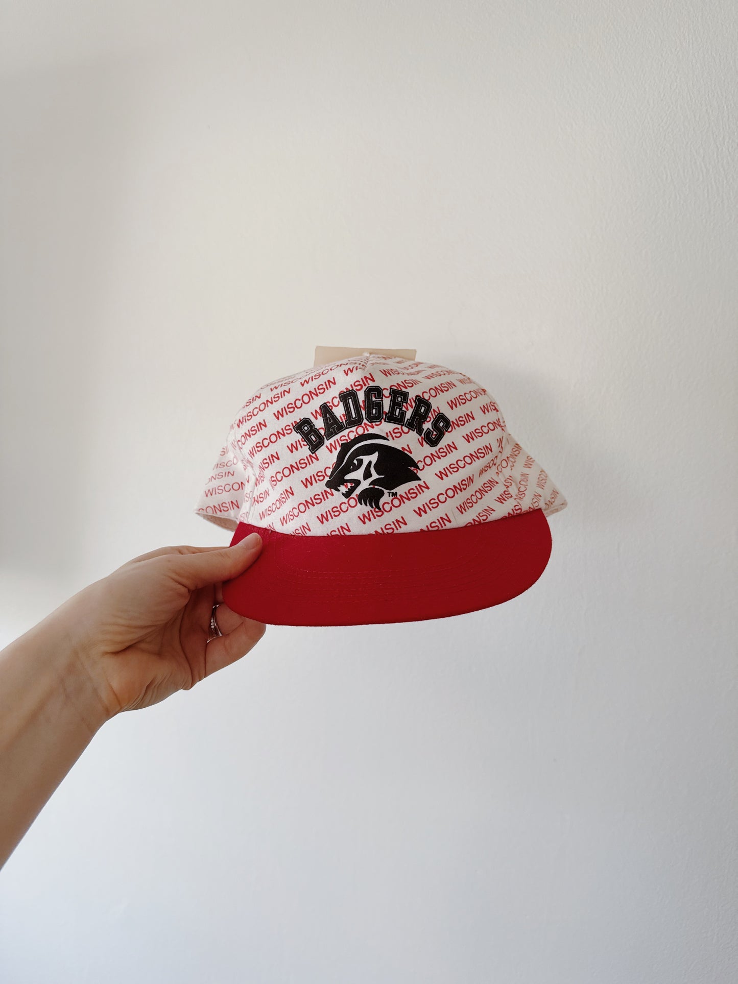 WI Badgers Hat