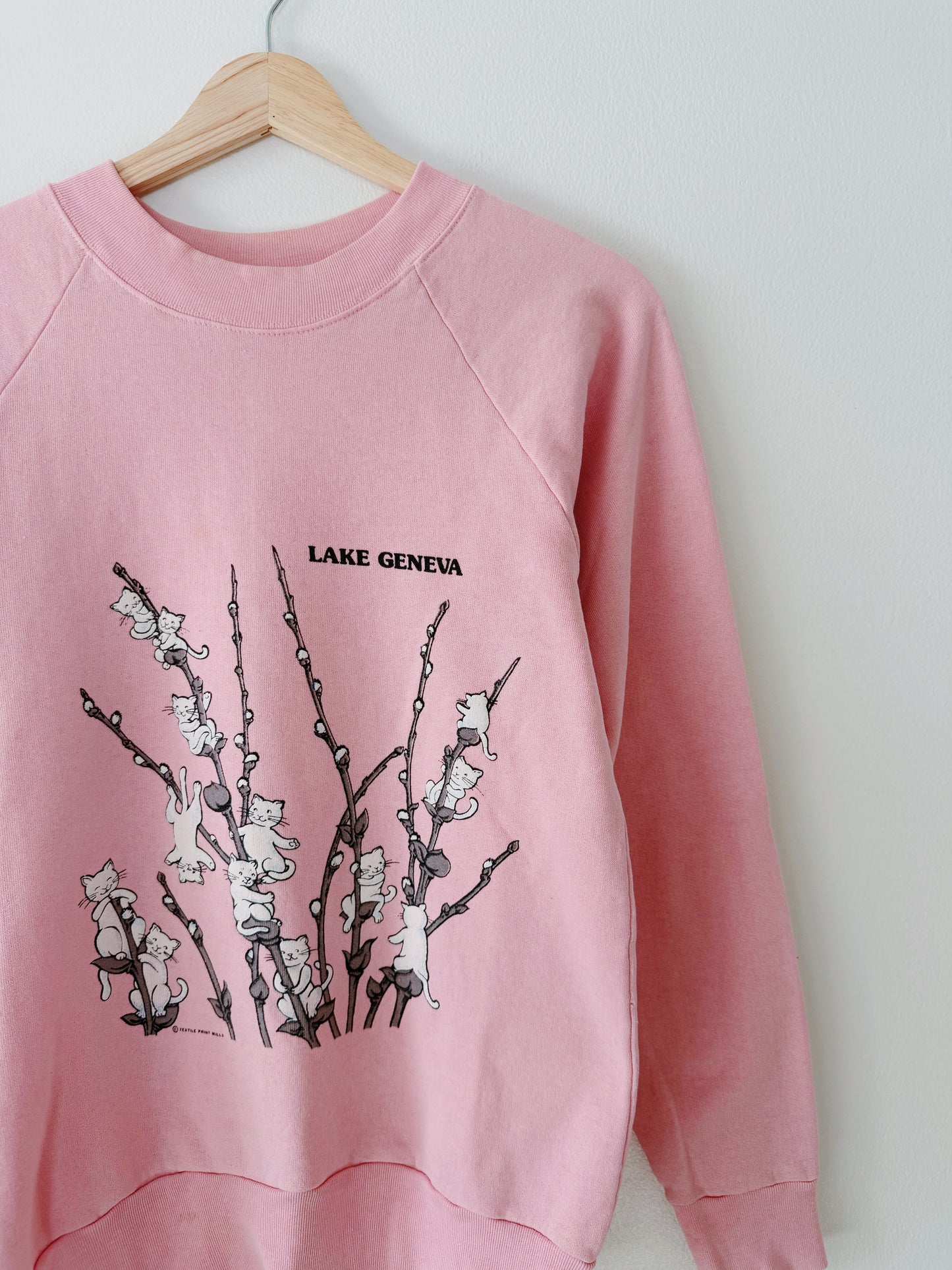Vintage Lake Geneva WI Crewneck