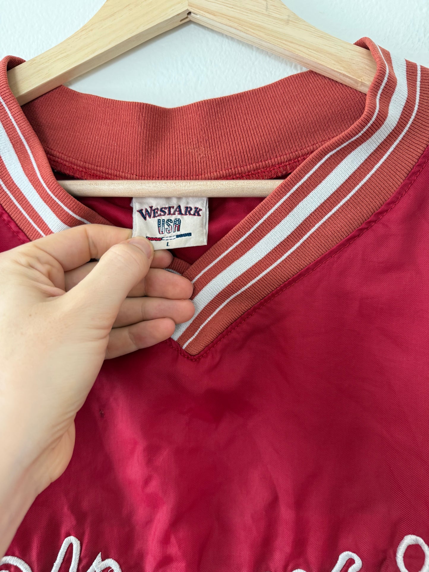Vintage Wisconsin Windbreaker (L)